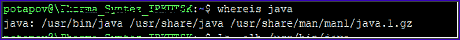 java_version_fpath.png